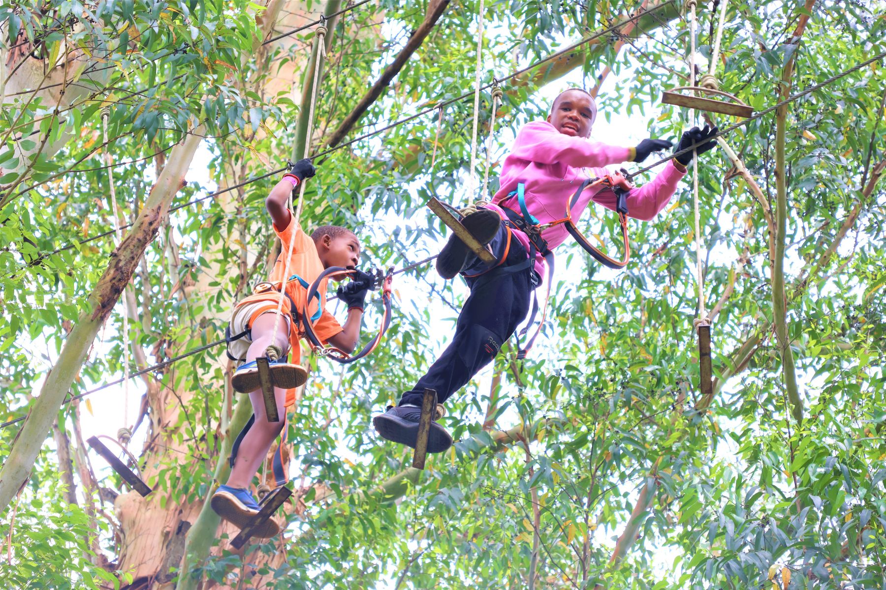 Go on a treetop adventure with Acrobranch Pietermaritzburg